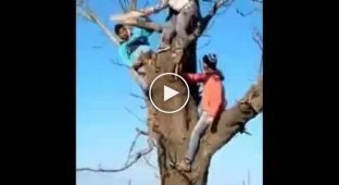 Трое идиотов и опоссум на дереве