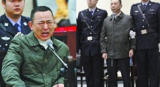 В Китае казнили миллиардера Лю Ханя (4 фото)