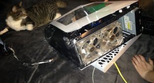 Сломавшийся компьютер (7 фото)