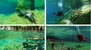 Парк, который полгода находится под водой (4 фото)