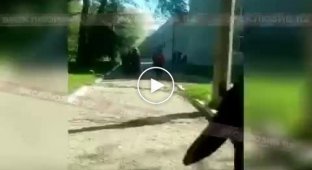 Видео со взрывом в Керченском политехническом колледже, на котором слышны выстрелы