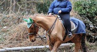 Жительницу Великобритании затравили в соцсетях за издевательства над лошадью (3 фото)