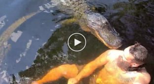 Крокодил укусил экстремала и заставил его покинуть свой водоем