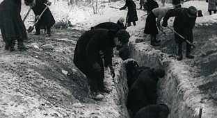 1941-1944. Небольшая подборка фотографий военных лет (41 фото)