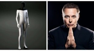 "Планируется, что он будет дружелюбным": Илон Маск анонсировал робота Tesla Bot (4 фото)