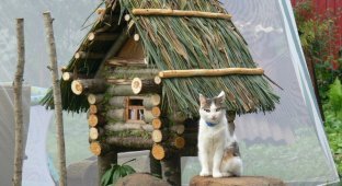 Декоративный домик-сруб на дачном участке своими руками (7 фото)