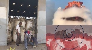 Во взрыве в Бейруте виноваты не петарды, а 2750 тонн аммиачной селитры (30 фото)