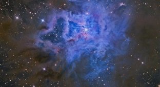 Завораживающие фотографии космоса, сделанные с помощью телескопа Хаббл (14 фото)