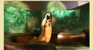 Факты о гигантской змее Титанобоа (5 картинок)