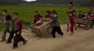 Северная Корея без прикрас в объективе западного фотографа (17 фото)