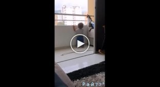 Бдительный кот мешает ребенку, чтобы тот не полез на балкон