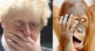 Мэр Лондона Борис Джонсон похож на орангутана (17 фото)