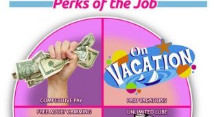 Работа мечты? Компания ищет порнокритика с годовой зарплатой в 69 000 долларов