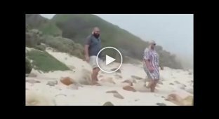 Забавный момент во время предложение руки и сердца на пляже