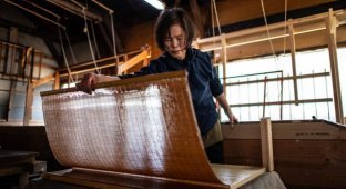 Изготовление традиционной бумаги в Японии (8 фото)