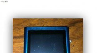 iPod Nano в корпусе 'Электроники' (23 фото)