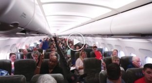 Американская авиакомпания решила подарить бесплатные билеты 150 пассажирам