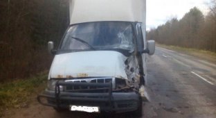 Последствия столкновения с запаской грузовика (фото + видео)