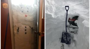30 фотографий про то, как канадцы справляются со снежным армагедеццом (31 фото)
