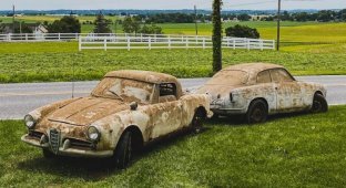 В США нашли пять классических Alfa Romeo, простоявших в сарае 40 лет (12 фото)