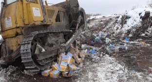 Почти 3 тонны запрещенного к ввозу в Россию сыра было уничтожено в Белгородской области (3 фото)