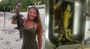 Охотница за игуанами: жительница Флориды ловит рептилий и добавляет их мясо в буррито (6 фото)