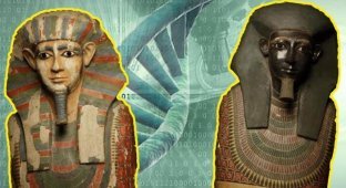 10 открытий, которые были сделаны благодаря анализу древних ДНК (11 фото)