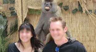 Фото с обезьянкой (4 фото)