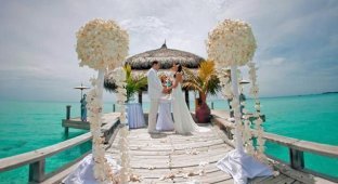 Свадьба в раю (99 фото)