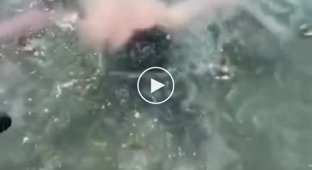 Видео, которое заставляет паниковать. Парень потерял ориентир под водой
