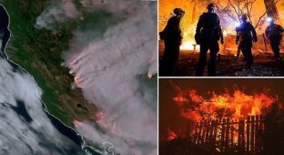 Калифорния горит (22 фото + 1 видео)
