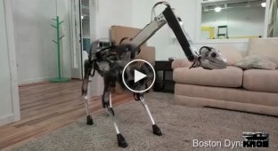 Непростая «жизнь» четвероногого робота компании BostonDynamics (маты)