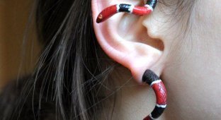 25 красивых и немного странных украшений для ушей, которые привлекут всеобщее внимание (24 фото)