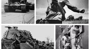 Военные исторические фото (41 фото)