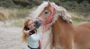 Жительница Голландии показала миру свою лошадь с поразительно длинной гривой, и она будто из сказки (15 фото)