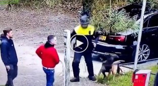 Голандские полицейские и голодный служебный пес из к-9