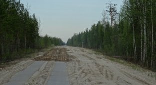 Житель Томской области украл дорогу (2 фото)