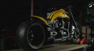 Harley-Davidson V-Rod из Питера (5 фото + 1 видео)