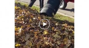 Как убирают опавшие листья в Европе