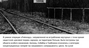 Побег узников нацистского концлагеря Собибор (9 фото)
