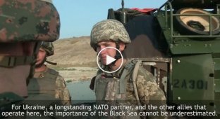 В НАТО показали первую высадку морского десанта США на территории Украины