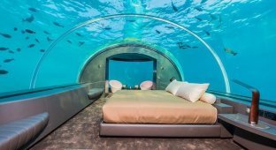 На Мальдивах открылся роскошный подводный отель (13 фото + 1 видео)