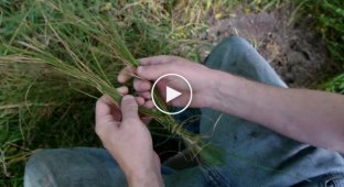 Как сплести веревку из травы