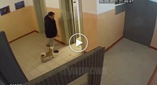 В Ангарске мужчина пустил подростков в подъезд, а те с 11 этажа сбросили ему на голову бутылку