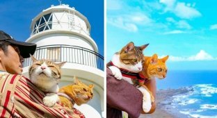 Дайкичи и Фуку-Чан - кошки, которые путешествуют вместе со своим хозяином (25 фото)