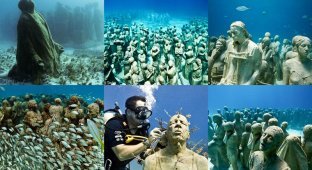 Подводные скульптуры превращаются в чудеса природы (16 фото)