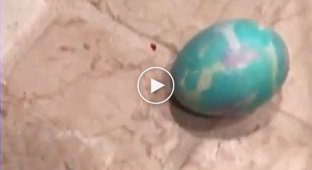 Пасхальное яйцо, забытое на 9 лет