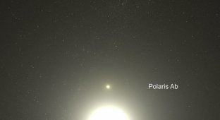 Астрономы определили точное расстояние до Полярной звезды (5 фото)