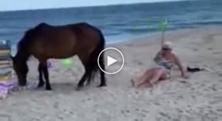 Бабушке не понравилась лошадка на пляже