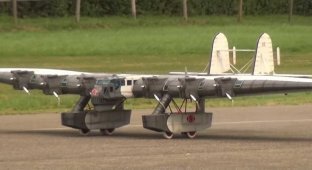 Судьба модели самолета Калинин К-7 может оказаться лучше, чем реального прототипа (4 фото + 1 видео)